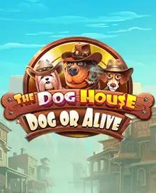 The Dog House - Dog or Alive